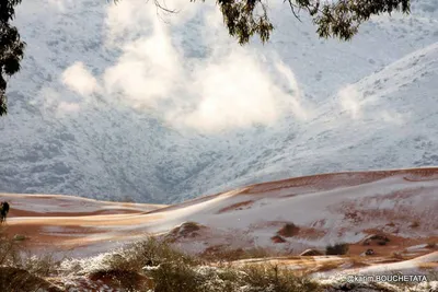 Призрачная красота: Снег в сахаре на фото