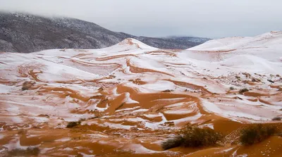 Сияющее чудо: Снег в сахаре на фотографиях