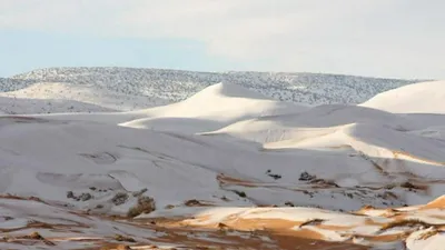 Роскошь Белого Снега в сахарной области