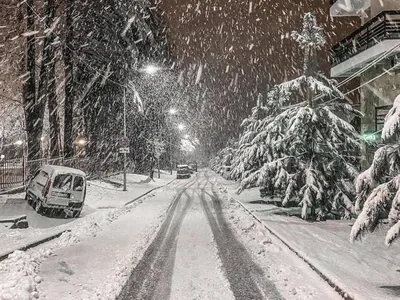 Волшебный Сочи: фото снегопада, который запечатлелся