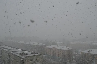 Завораживающие изображения Снега, доступные для скачивания