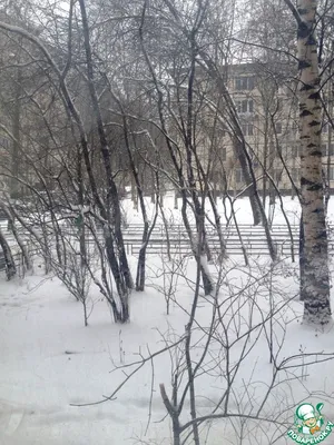 Раскройте тайну Снега: фото и картинки