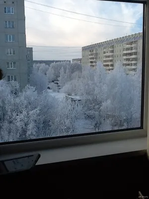 Насладитесь прекрасными мгновениями Снега