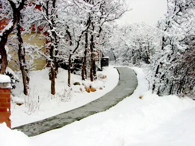 Сказочная зимняя гордость: Фото снега и его кристальных фрагментов
