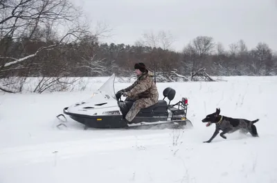 Снегоход для ездовых собак | Гусеницы мото и электро | Дзен