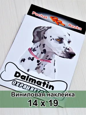 Мотобуксировщик «Железная собака» отзыв владельца из Вологодской области -  YouTube