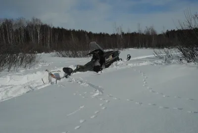 Снегоход достался победителю камчатского конкурса «Удача рыбака» – ИА  Камчатка