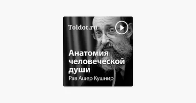 Зимняя полушерстяная пряжа Ализе суперлана миди SUPERLANA MIDI слоновая  кость 599 (ID#1249796690), цена: 305 ₴, купить на Prom.ua