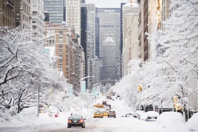 Снежный Нью Йорк Фото