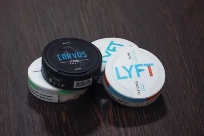 Snus vs nicotine pouches: what is the difference? – SnusCore