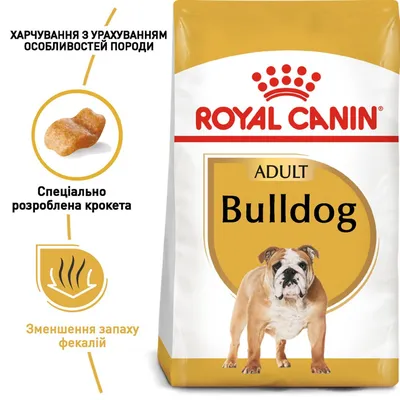 Статуэтка English Bulldog, Chehoma | Home Concept
