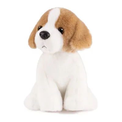 грустинка ! щенок бигля | Beagle puppy, Beagle dog, English bulldog puppies