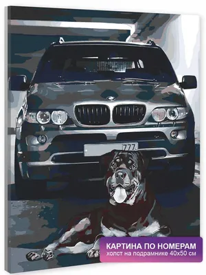 Предохранитель бульдога BMW мастера Стоковое Фото - изображение  насчитывающей собака, бульдоги: 45897326
