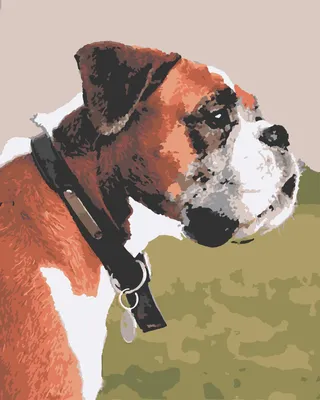 Табличка на ворота осторожно злая собака Босерон, 30 см, 15 см - купить в  интернет-магазине OZON по выгодной цене (193680473)