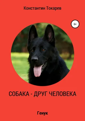 Основной ассортимент : Собака - друг человека. (т.59-4)