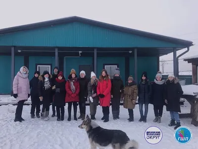 Собака друг человека? В Гродно пенсионерка испугалась соседской овчарки и  попала в больницу — Вечерний Гродно