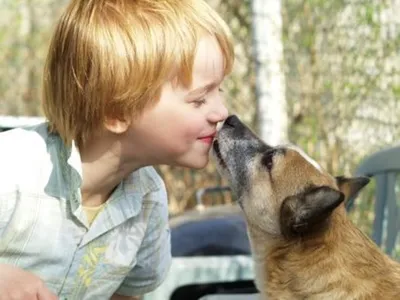 Тут и слов не надо ,собака друг человека 🐕Майло | Instagram