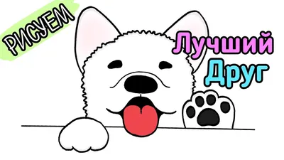 Собака – друг человека! | Эксклюзивные новости от Вячеслава Слисарчука