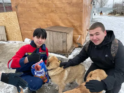 Собака – друг человека. А где ж ему гулять?