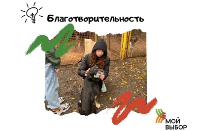Собака — друг человека | Дом детского творчества № 5 г. Иркутска