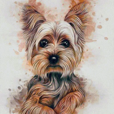 Йоркширский терьер - описание породы собак: характер, особенности  поведения, размер, отзывы и фото - Питомцы Mail.ru