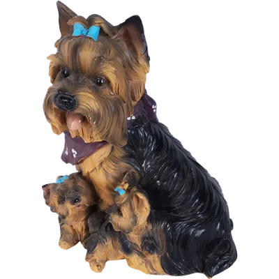 Собака Йоркширский Терьер Животное - Бесплатное фото на Pixabay - Pixabay