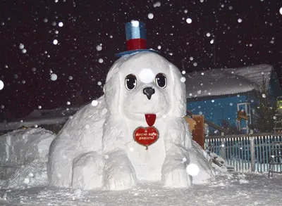 Собака из снега фото фотографии