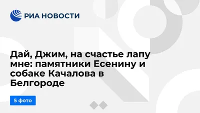 Муму утопил не Герасим, а дворник Андрей - KP.RU