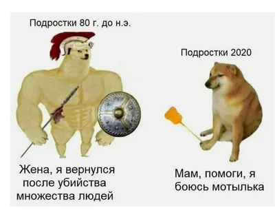 Мужской свитшот хлопок Мем собака качок DOGE ❤ — купить по выгодной цене на  «Все Футболки.Ру» | Принт — 2962935 в Санкт-Петербурге