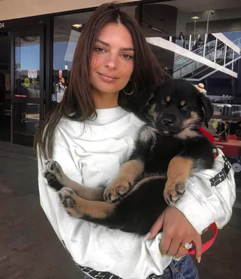 Эмили Ратажковски (Emily Ratajkowski) со своей собакой Коломбо в Нью-Йорке  (01.08.2019)