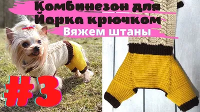 Ручная работа, связанные крючком собака, кошка, сова