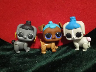 L.o.l. surprise chihuahua pet» — создано в Шедевруме