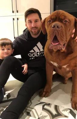 Матч ТВ on X: \"Пирамида из Месси. И песик 🐕 📷 инстаграм Месси  https://t.co/HKj6VXhFf5\" / X