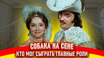 Собака на сене