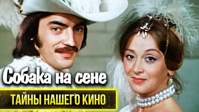 Собака на сене... | Пикабу