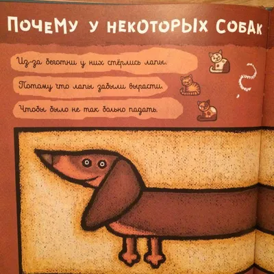 Что такое \"собака Павлова\" и в чем суть эксперимента? | Онлайн-школа  «Синергия» | Дзен