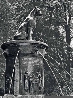 Собака Павлова» — создано в Шедевруме