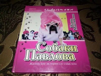 Здравствуйте, это не собака Павлова! | 12.04.2023 | Всеволожск - БезФормата