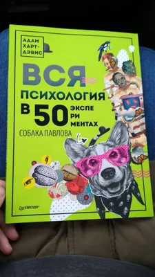 https://pet911.ru/pavlovo/lost/dog/rl787955