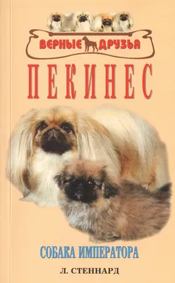 Собака Порода:Пекинес: 300 у.е. - Собаки Самарканд на Olx