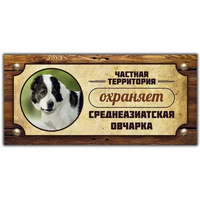 Среднеазиатская овчарка: история породы, характеристики и особенности» —  создано в Шедевруме