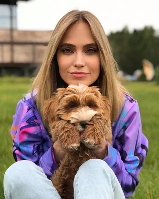 Какие собаки живут у Ивана Урганта? | Кошечка Сола 🐈 | Дзен
