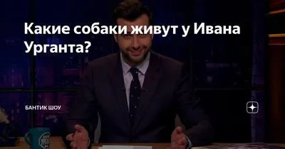 Снег в Петербурге: видео - 4 мая 2023 - Фонтанка.Ру
