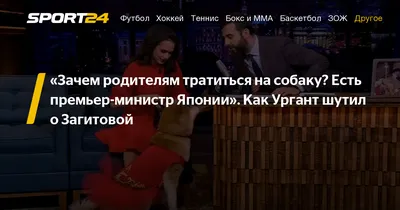 5 пород собак, которые почти не линяют. Список | РБК Life