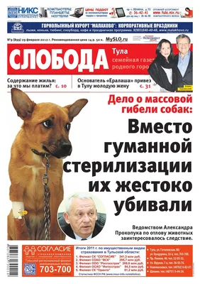 Иван Ургант: говорю \"шаурма\", но внутри-то знаю — \"шаверма\"