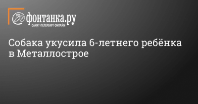 5 пород собак, которые почти не линяют. Список | РБК Life