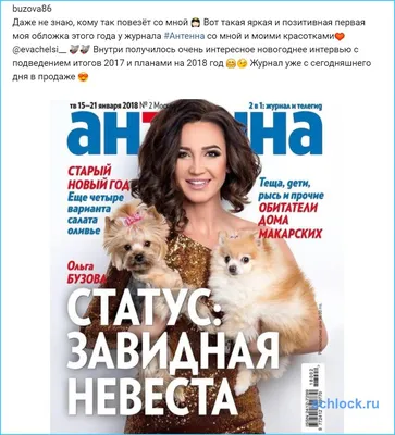 Ольга Бузова проколола уши своим собакам - Stars - Главред