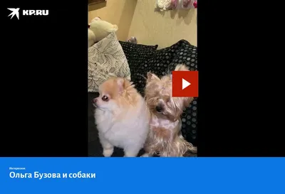 Новая фотография Ольги Бузовой. Как же она здесь похожа на свою маму  😍Ставь лайк и подписывайся 👆❤️#дом2#интриги… | Instagram