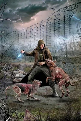 https://www.vzsar.ru/news/2024/01/28/v-saratove-psymonstry-napali-na-ombydsmena-i-ee-sobaky.html