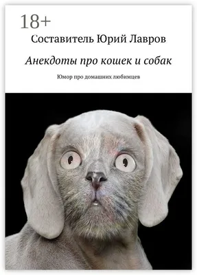 Самые смешные породы собак в мире: ТОП-30 с фото и названием